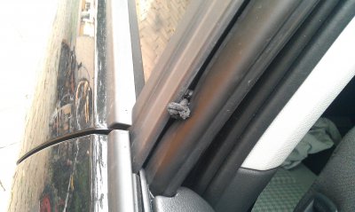 IMAG0054.jpg