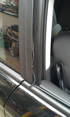 IMAG0055.jpg