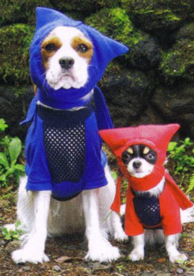 Batman and Robin.jpg