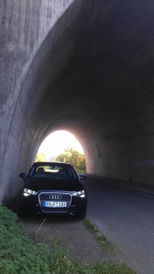 IMAG0683.jpg
