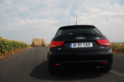 DSC_7087.jpg