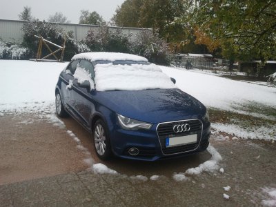 A1SchneeFB.jpg