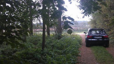 IMAG0781.jpg