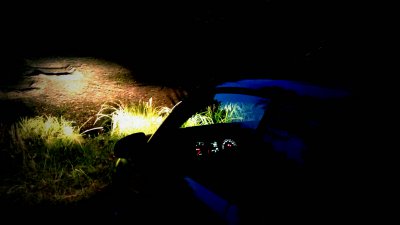 IMAG0797.jpg