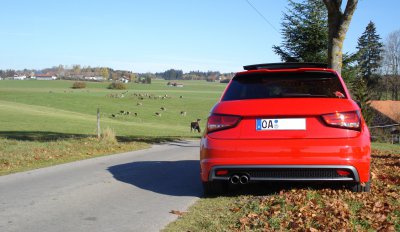 H2O Audi A1 Roter Piranha Allgäu (2).jpg