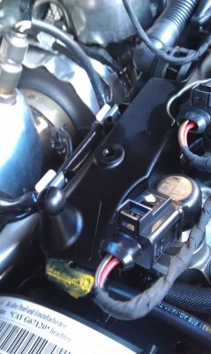 IMAG0340.jpg