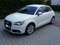 whiteA1