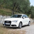 A1muc