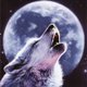 Lone-Wolf