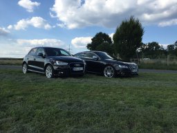 Ulli AS15