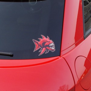 11-04-07 H2Os Piranha (8)