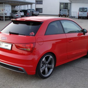 11-04-07 H2Os Piranha (6)