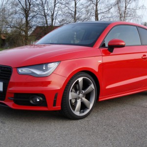 11-04-07 H2Os Piranha (2)