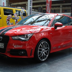 A1 Eibach (01)
auf der TWB 2011