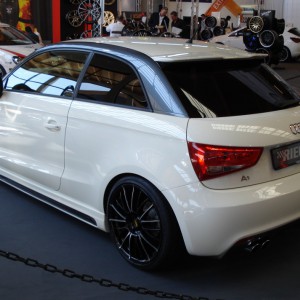 A1 Rieger (03)
auf der TWB 2011