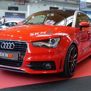 A1 SKN (01)
auf der TWB 2011