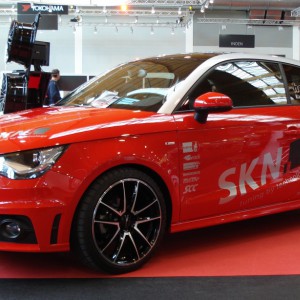 A1 SKN (02)
auf der TWB 2011