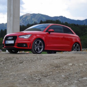 A1 Piranha Dach schwarz (03)