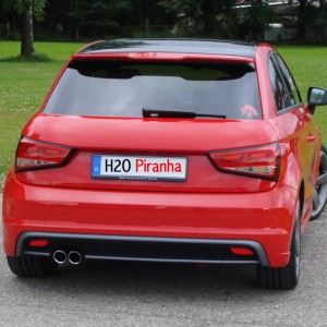 H2O's Piranha: von hinten und oben ohne (Ringe) !