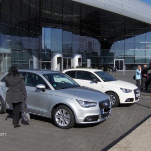 Didi's A1, 1,2 Eissilber