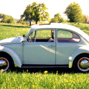 White Angel - mein erster Wagen