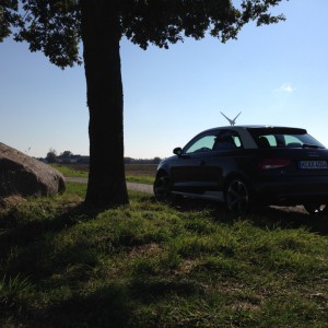 ein A1 allein im Wald... oder eben in der Feldmarkt :-D