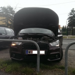 user1433 pic5942 1395661879