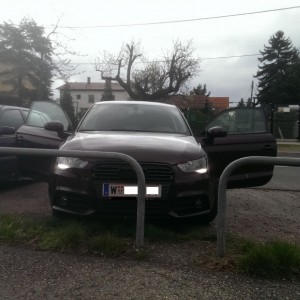 user1433 pic5943 1395661879