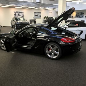 981c