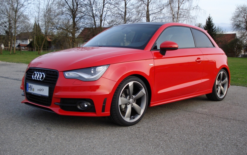 11-04-07 H2Os Piranha (2)