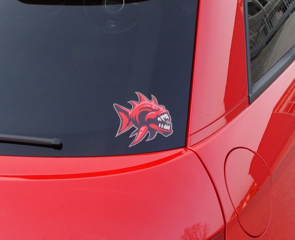 11-04-07 H2Os Piranha (8)