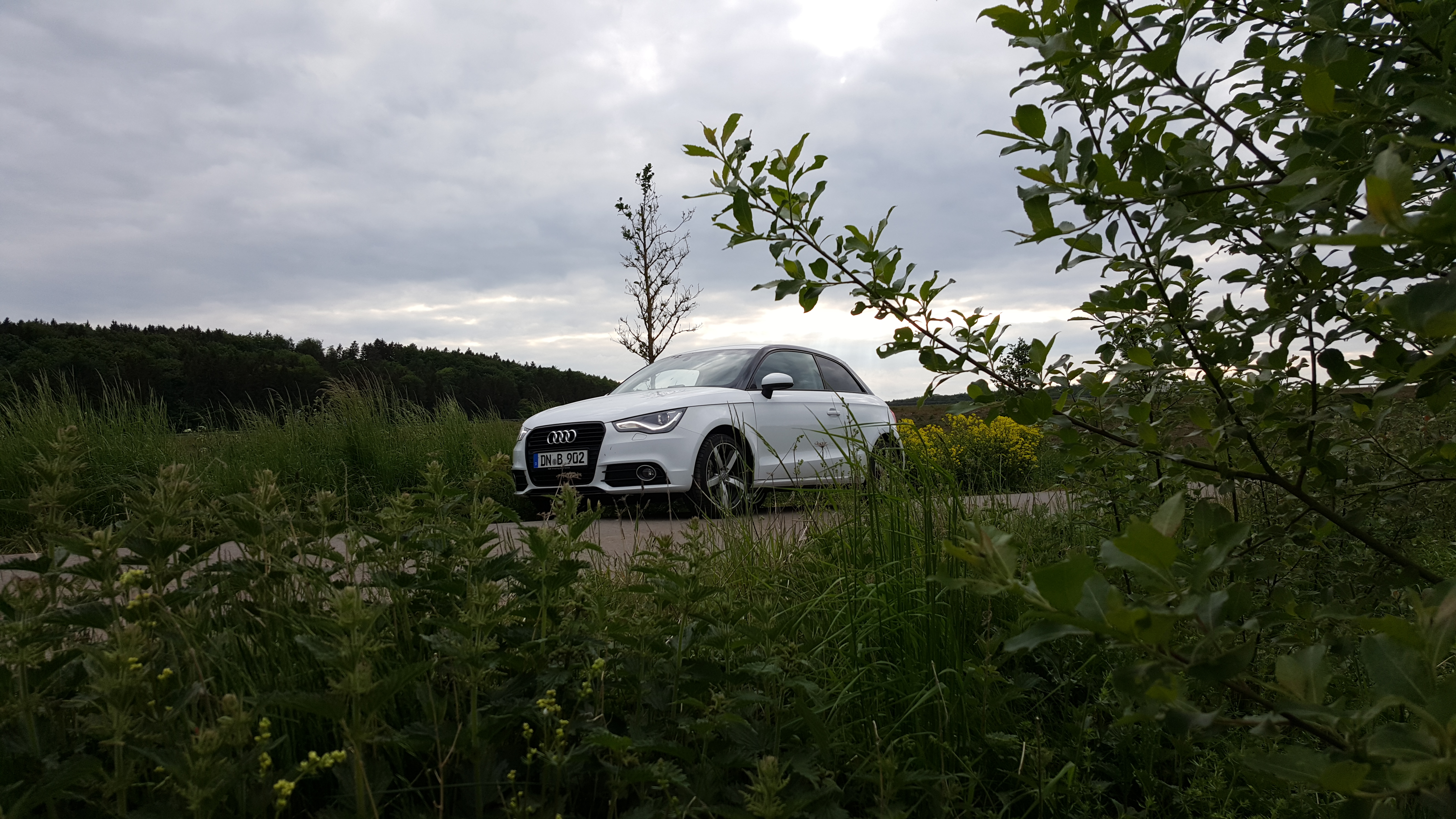 20150526_185620