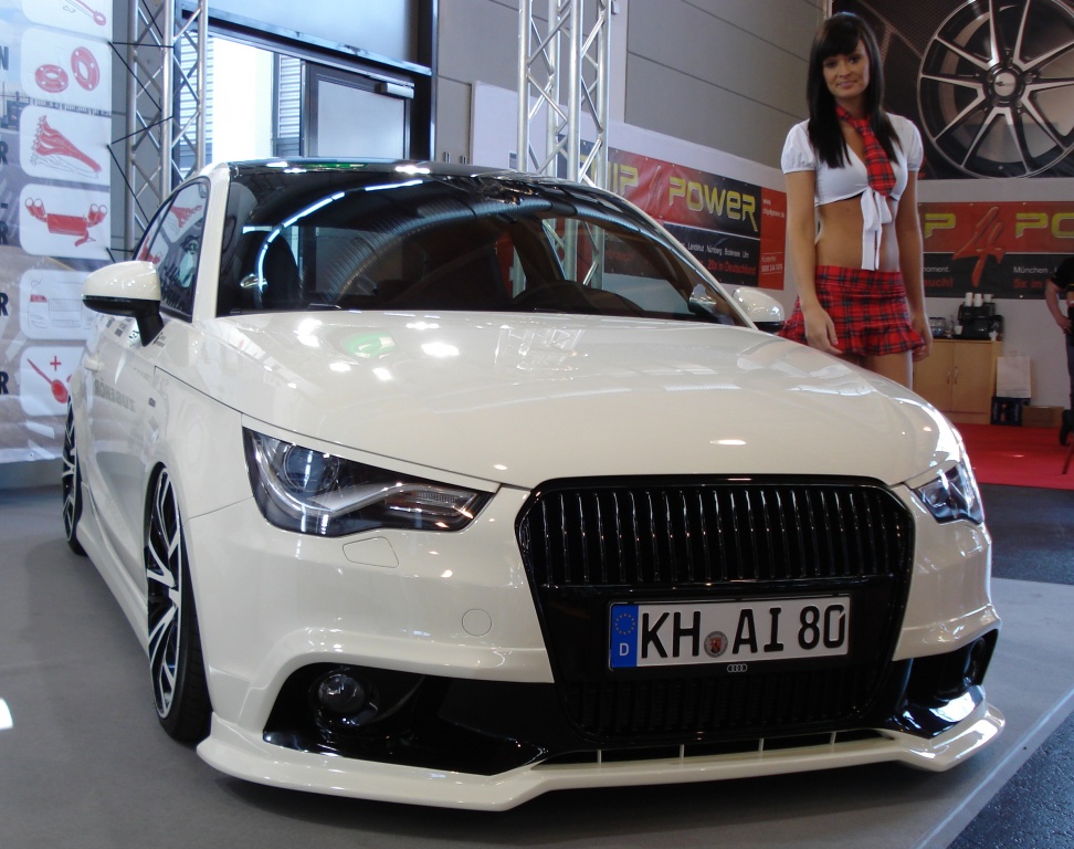 A1 HG-Motorsport (03)
auf der TWB 2011