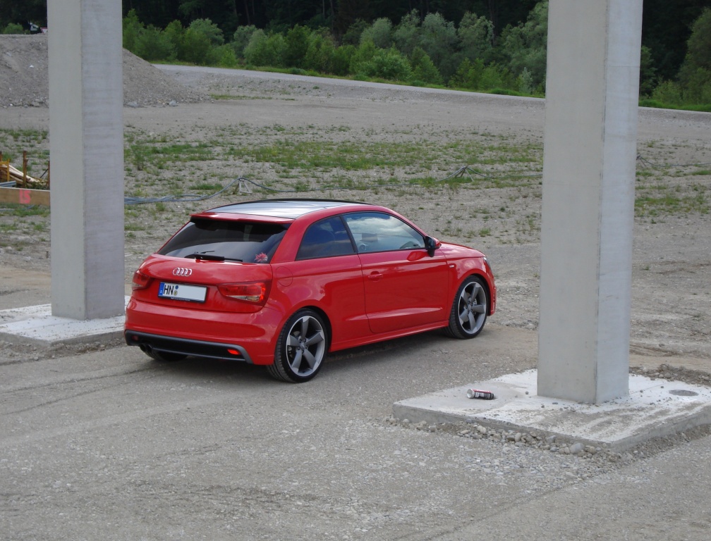 A1 Piranha Dach schwarz (05)