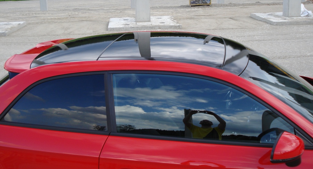 A1 Piranha Dach schwarz (11)