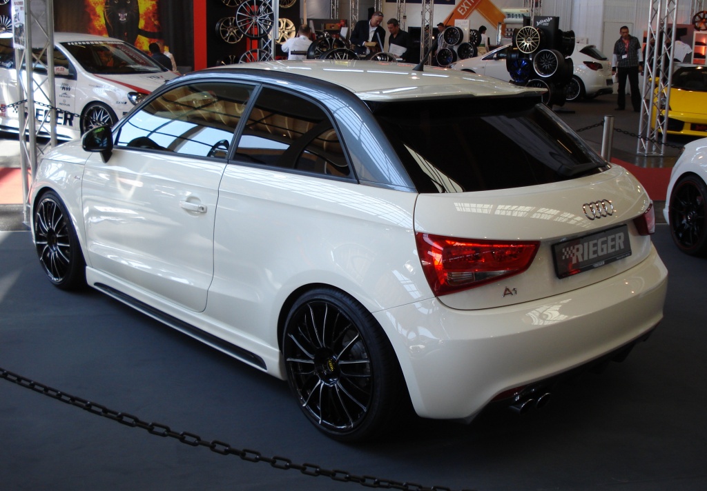 A1 Rieger (03)
auf der TWB 2011