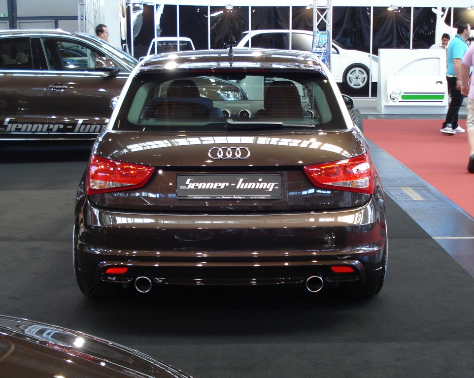 A1 Senner (03)
auf der TWB 2011