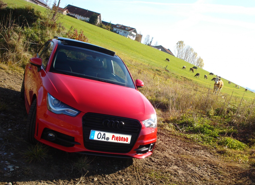 H2O Audi A1 Roter Piranha Allgäu (7)